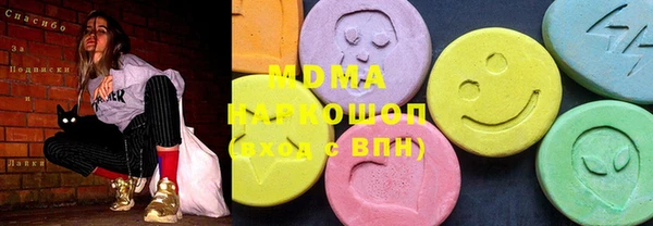 индика Елизово