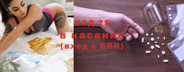 индика Елизово