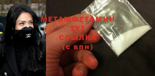 индика Елизово