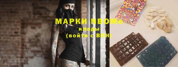 индика Елизово
