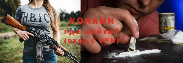 индика Елизово