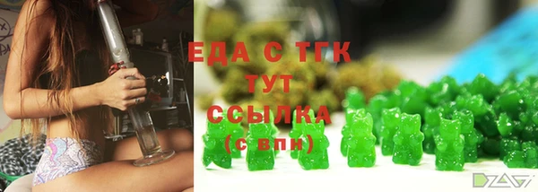 индика Елизово