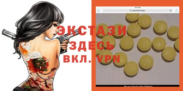 индика Елизово