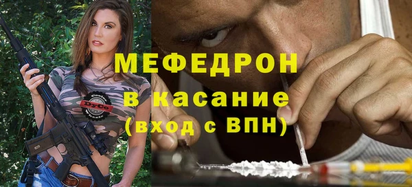 индика Елизово