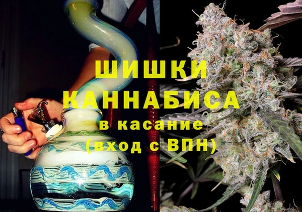 индика Елизово