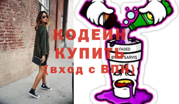 индика Елизово