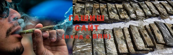 индика Елизово