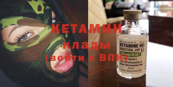 индика Елизово
