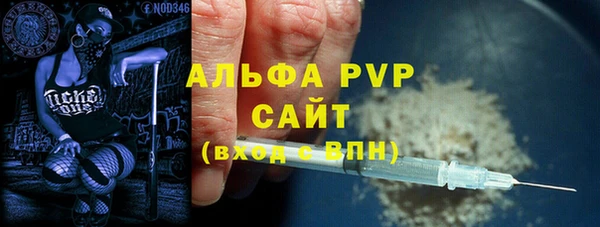 индика Елизово