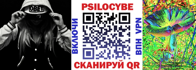 Купить где Карачев Псилоцибиновые грибы мицелий